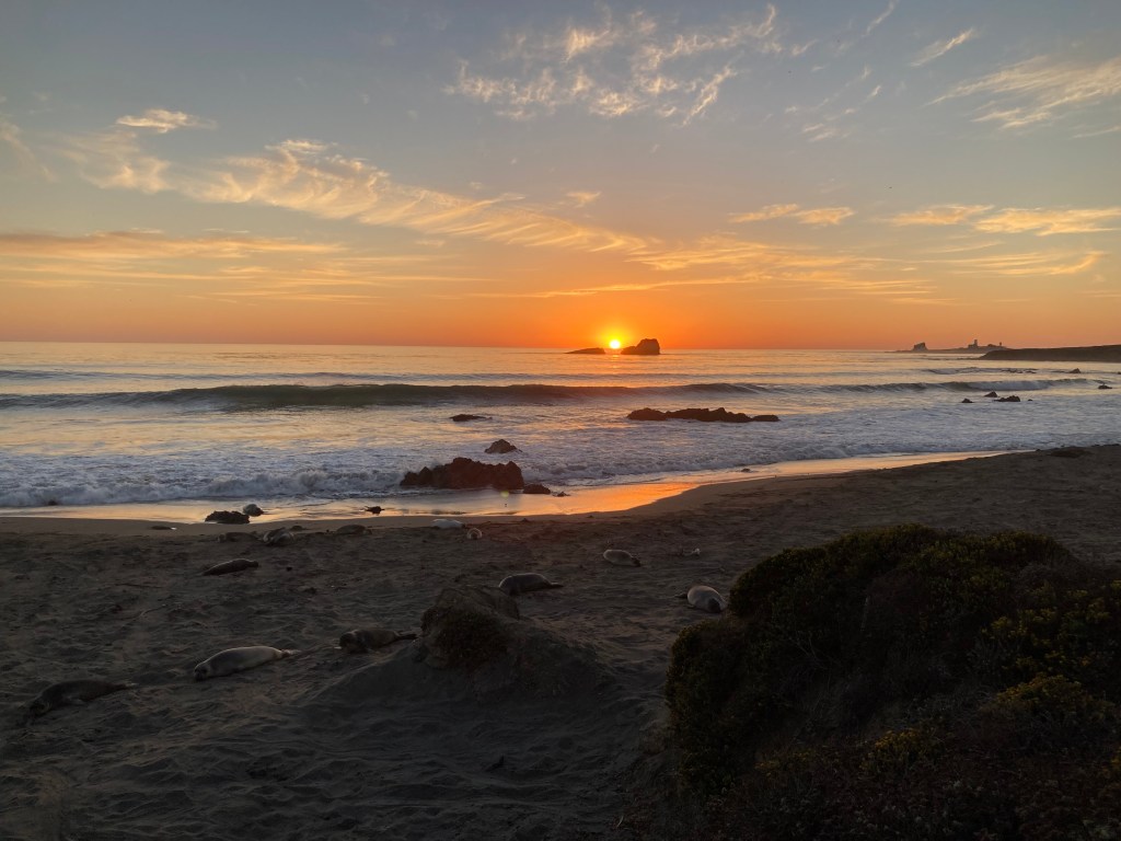 The sun sets perfectly between two rocks over the Pacific Ocean.