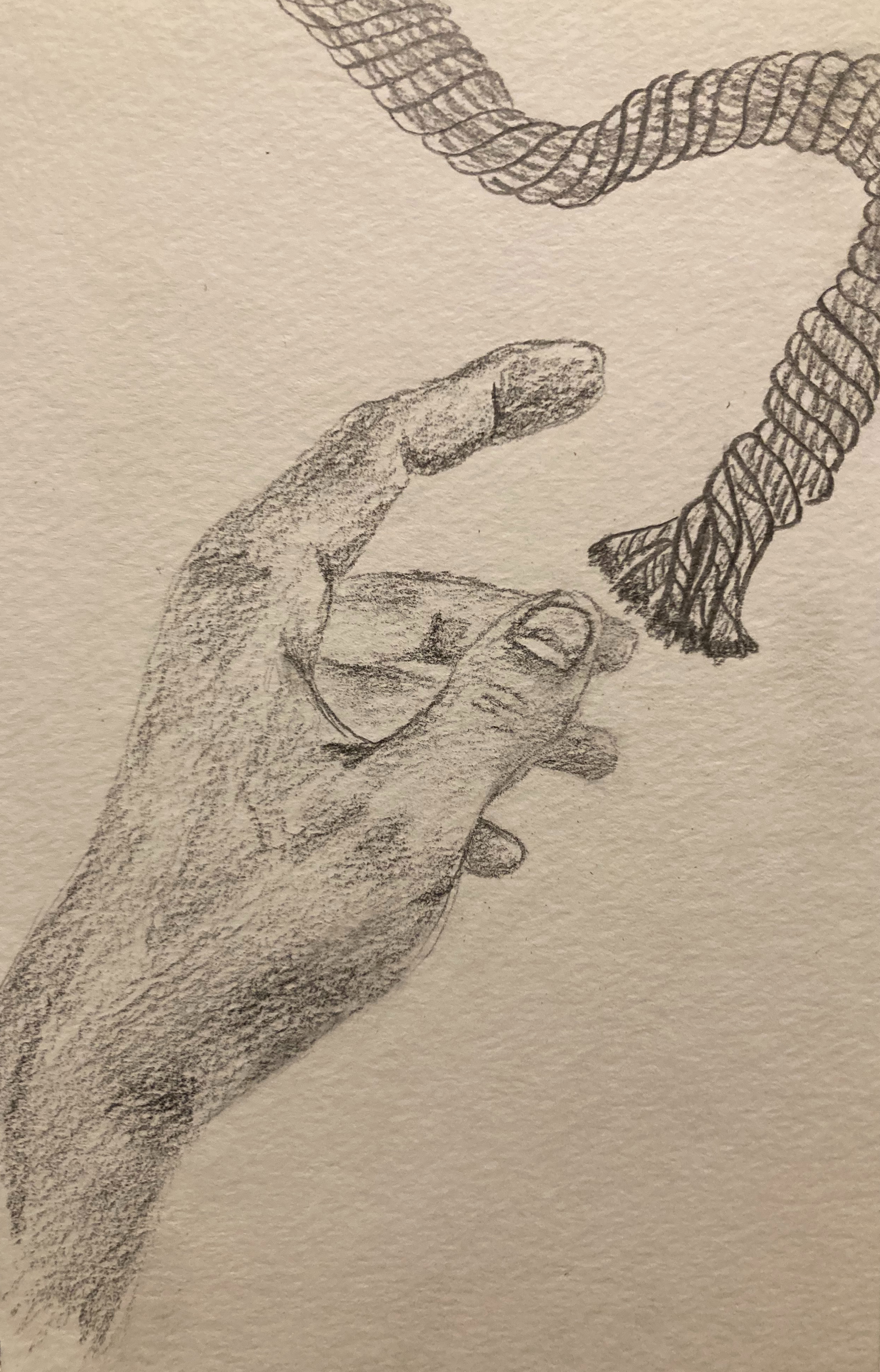 Shaded pencil drawing of a hand reaching out towards a frayed rope symbolizing when you are past the end of your rope and you are reaching for something to tether you. 